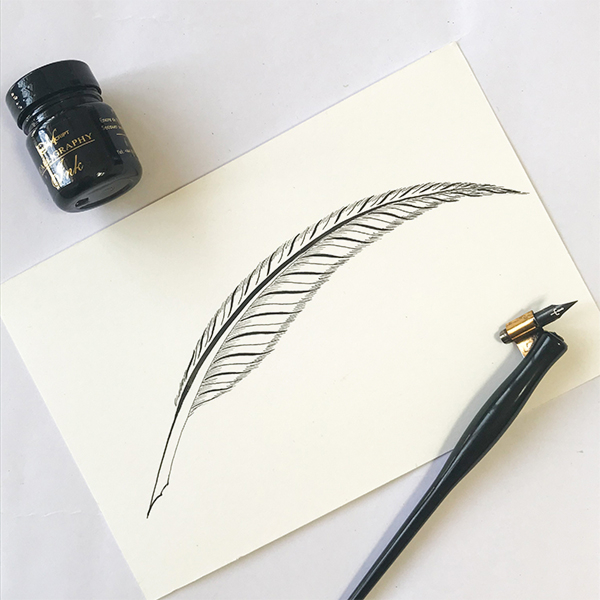 Step-By-Step Process to Create a Quill Flourish